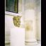 Fluted column sections (fixed): Great Court, British Museum, London, 2000 (for St Blaise Ltd)