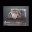 Sheep head in workshop, 1995