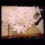 Sunflower fleuron for corinthian capital: Wellington Arch, Hyde Park Corner, 2002 (for Stone West Ltd)