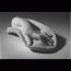 Study of a hand. 1993